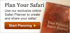 Banner_plan_your_safari