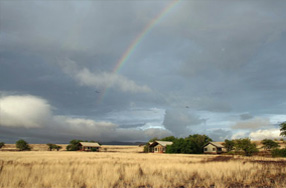 Photo of a Rainbow over a field